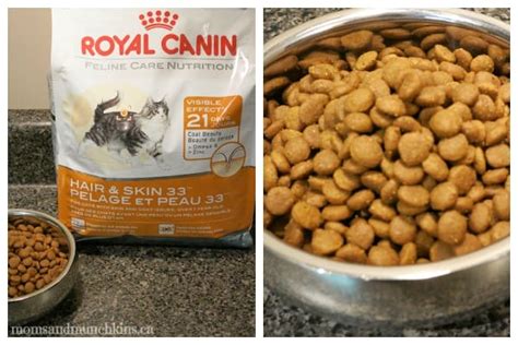 This is one of the best dog food for shiny coat and healthier skin. Cat Food for Senior Cats - Final Challenge - Moms & Munchkins