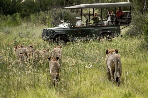 10 Of The Best African Photo Safari Tours In The World