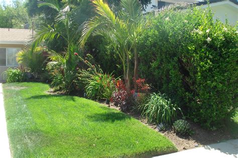 46 Tropical Landscaping Ideas For Small Yards Garden Design