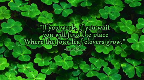 Quotes About Four Leaf Clovers Quotesgram