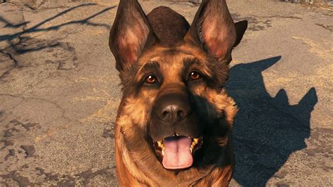 Dogmeat Fallout 4 Fallout Wiki Fandom Powered By Wikia