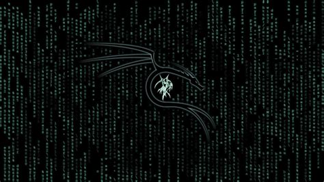 3840x2160 Kali Linux Matrix 4k Wallpaper Hd Hi Tech 4k Wallpapers