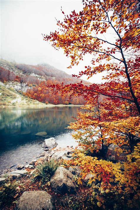 Find the best nature photos in one place; nature, Photography, Portrait display Wallpapers HD ...