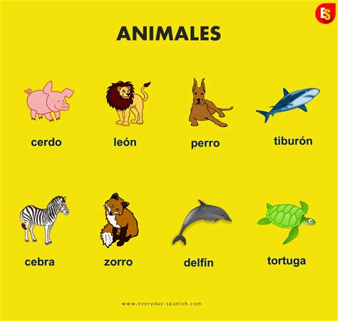 Animals That Start With A B In Spanish - Inside Came