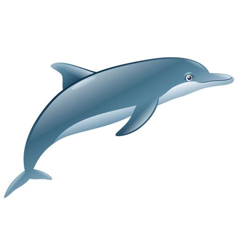 矢量海洋生物图片 优雅的海豚卡通矢量图素材 高清图片 摄影照片 寻图免费打包下载