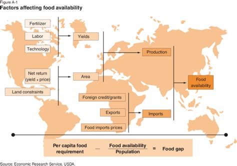 Figure A-1 Factors affecting food availability | Download ...