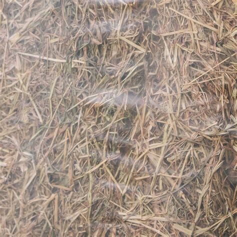 Bagged Grass Haylage For Sale Baled