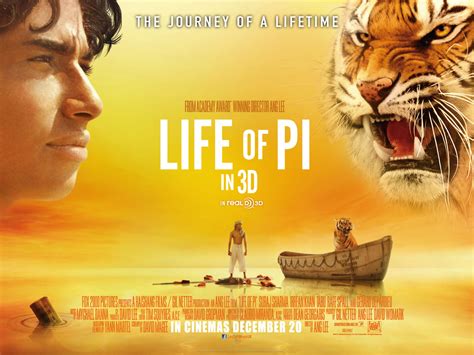 Flawed Cracked But Rare Life Of Pi