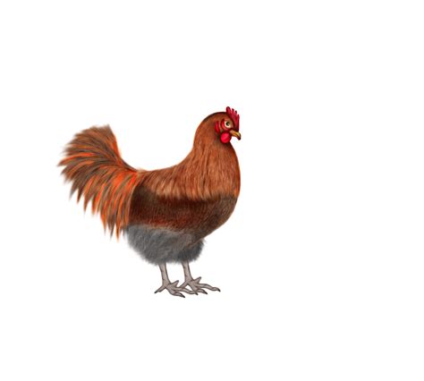 Gambar animasi untuk presentasi powerpoint game dan 21 04 2013 animasi bergerak lucu dan keren untuk powerpoint keindahan foto animasi lucu hewan kurban terlengkap distro dp bbm. Kumpulan Animasi Gambar Bergerak Ayam Dan Telur - ANIMASI ...