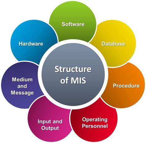Management Information System Structure Management Information