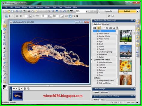 Most file host providers (eg: Corel PhotoImpact X3 13.1 + Content Pack Crack