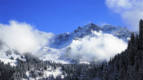 Wallpaper Nature Sky Snow Winter Wilderness Alps Summit