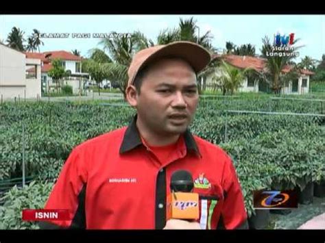 Tanaman fertigasi cili bara 1400 polybeg saiz polybeg 15 x 15 jarak antara polybeg 2' x 2' jarak lorong 4' kutipan setakat ini. SPM - BINGKISAN - PENANAMAN CILI KAEDAH FERTIGASI [31 OKT ...