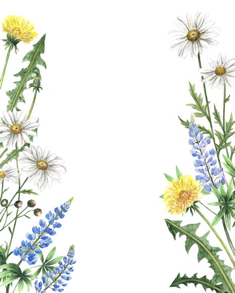 Watercolor Wildflowers Frames 306999 Illustrations Design Bundles