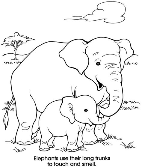 34 Cute Mom And Baby Elephant Coloring Pages