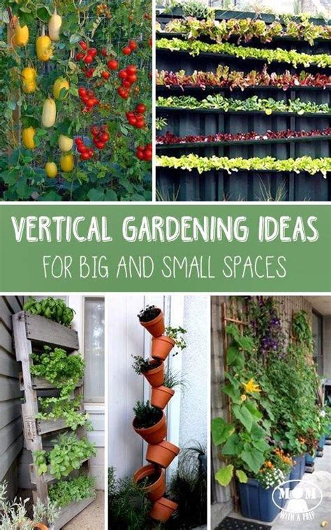 Vertical Gardening Small Space Gardening Backyard Gardening