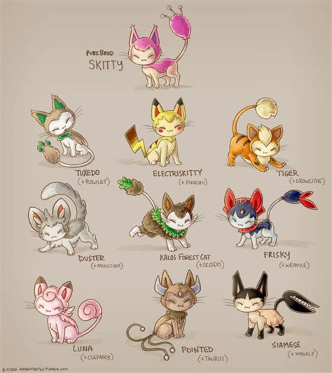 Skitty Subspecies Cat Pokemon Pokemon Breeds Pokemon Fusion Art