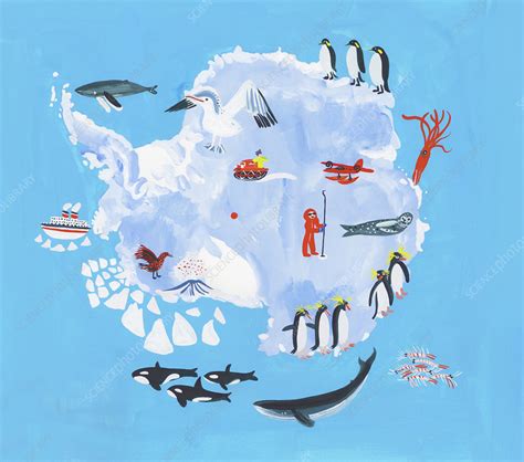 Map Of Antarctica Illustration Stock Image C0400170 Science
