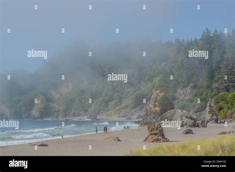 The Rocky Coast Of Trinidad State Beach On The Pacific Ocean In