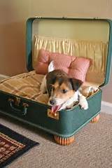 Beds For Dogs Ireland Photos
