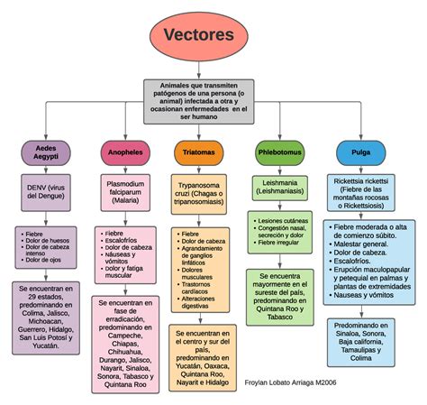 Mapa Conceptual De Vectores Faing Images