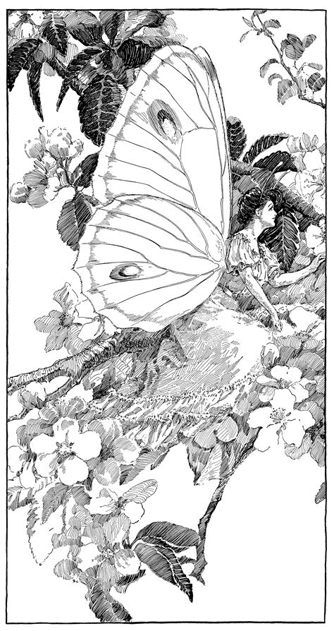 Free Vintage Image Beautiful Butterfly Fairy Old Design Shop Blog