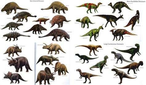 Different Types Different Dinosaurs Types