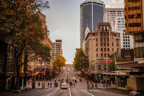 Pedestrian Counts Heart Of The City Aucklands City Centre Business