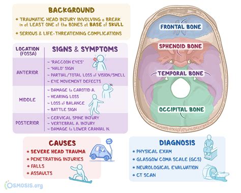 Basilar Skull Fracture What Is It Causes Symptoms And More Osmosis