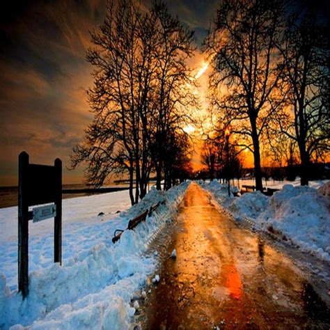 The Beauty of Frozen Landscape In Winter - XciteFun.net