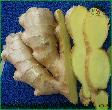 Export To Dubai Bulk Ginger Ginger Buy To Dubai Fresh Gingerginger