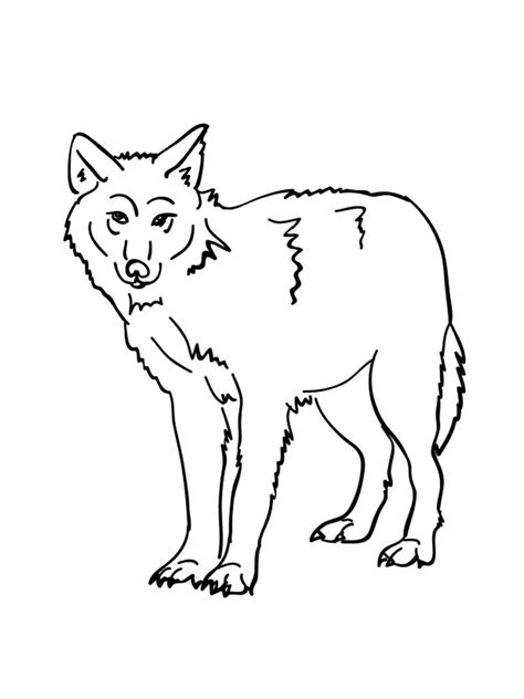 Free Forest Animals Coloring Pages Download And Print Forest Animals