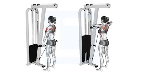 Cable Upright Row Guide Benefits And Form