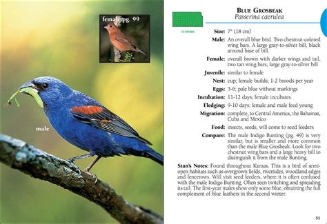 Birds Of Kansas Field Guide Adventurekeen Shop