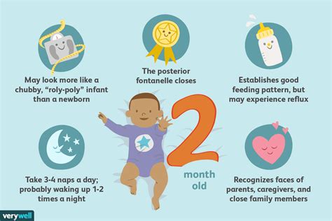 Fetal Development Month 2