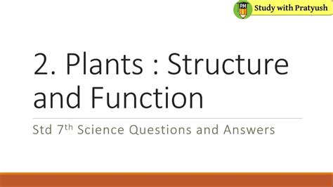 Std 7th Science 2 Plants Structure And Function Questions And