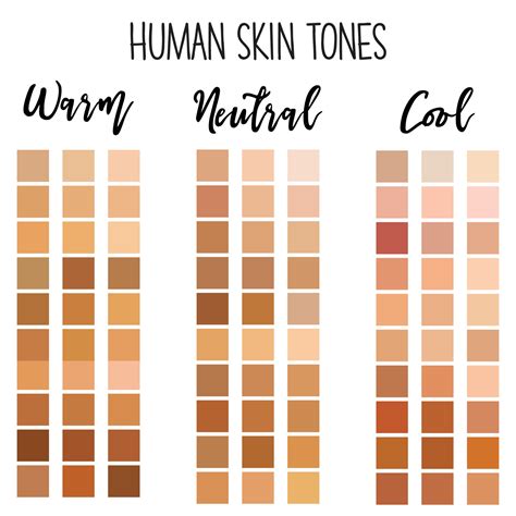 Human Skin Tone Color Palette 7511504 Vector Art At Vecteezy