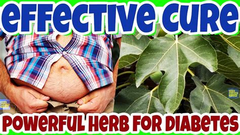 Effective Natural Remedies To Cure Diabetes Disease How To Cure