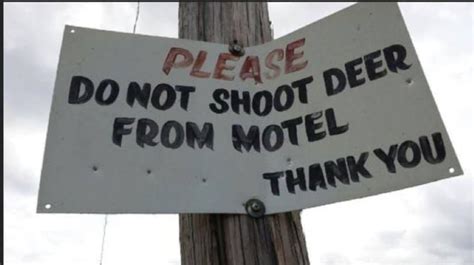 20 Of The Funniest Signs Ever Created Page 2 Of 5