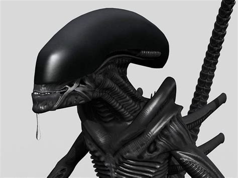 Xenomorph Aliens Mega Pack 3d Rigged Cgtrader