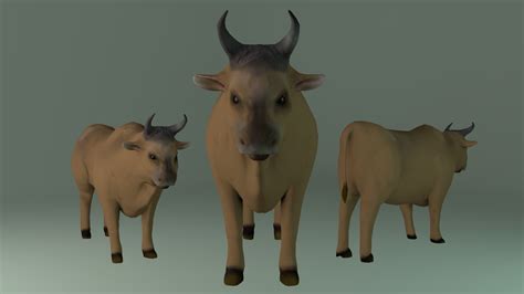 Ox Model Three Cows With Horns Free Vr Ar Low Poly 3d Model Cgtrader