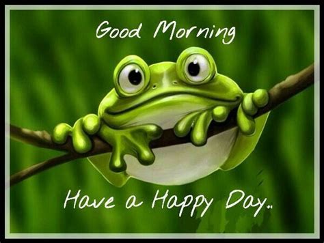 Pin By Brandy Higgins On Good Morning Frog Pictures Frog Funny Frogs