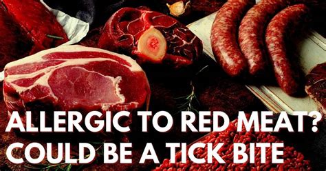 Allergic To Red Meat Could Be A Tick Bite Stop Ticks