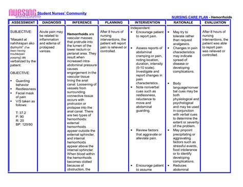 For example, a nurse investigating a patient suffering from acute migraine need not only focus on the headache itself, but also on the patient's response to the condition. Good Nursing Home Care Plans Examples Sample Nursing Care ...