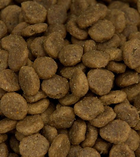 Grain free turkey dog food. Grain-Free Turkey Simplicity Canine Dog Food | Pets 1st