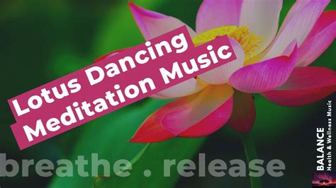 Lotus Dancing Meditation Music The Best Healing Music For Relaxation