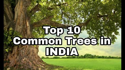 Names Of Indian Trees