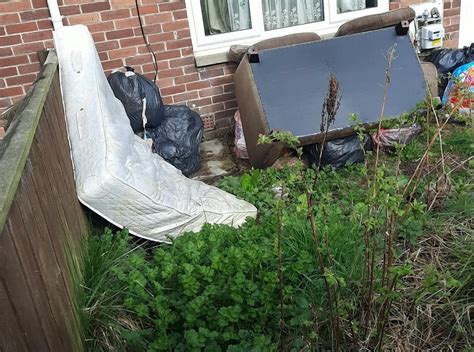 Pet Owner Fined £750 For Dog Mess In Garden After Neighbours Complained