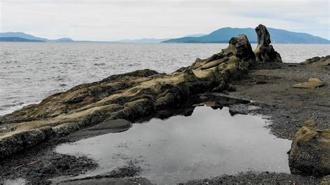 Take A Tour Of Clayton Beach At Larrabee State Park Bellingham Herald
