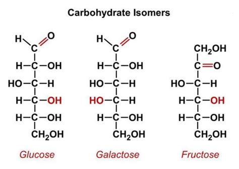6 Correlate The Structure Of Fructose And Galactose With Glucose